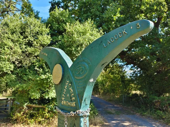 Обзор Vivo V60: создан для маньяков селфи фото