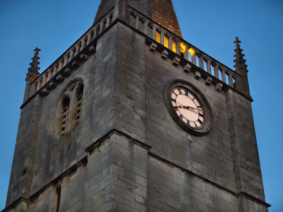 Обзор Vivo V60: создан для маньяков селфи фото