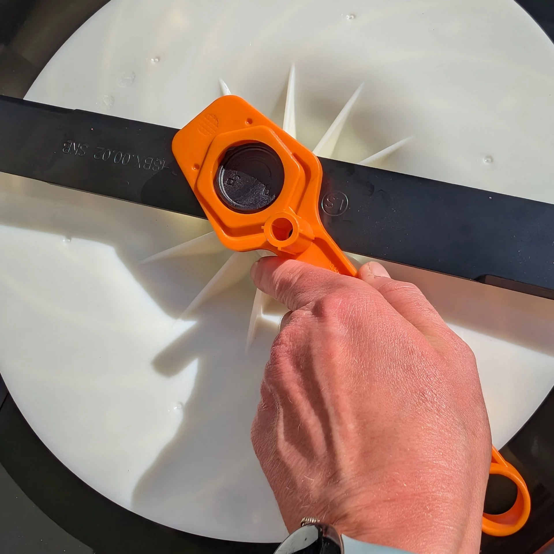 Как спасти газон в жару: 3 секрета идеальной стрижки от экспертов, которые должен знать каждый картинка Как спасти газон в жару: 3 секрета идеальной стрижки от экспертов, которые должен знать каждый