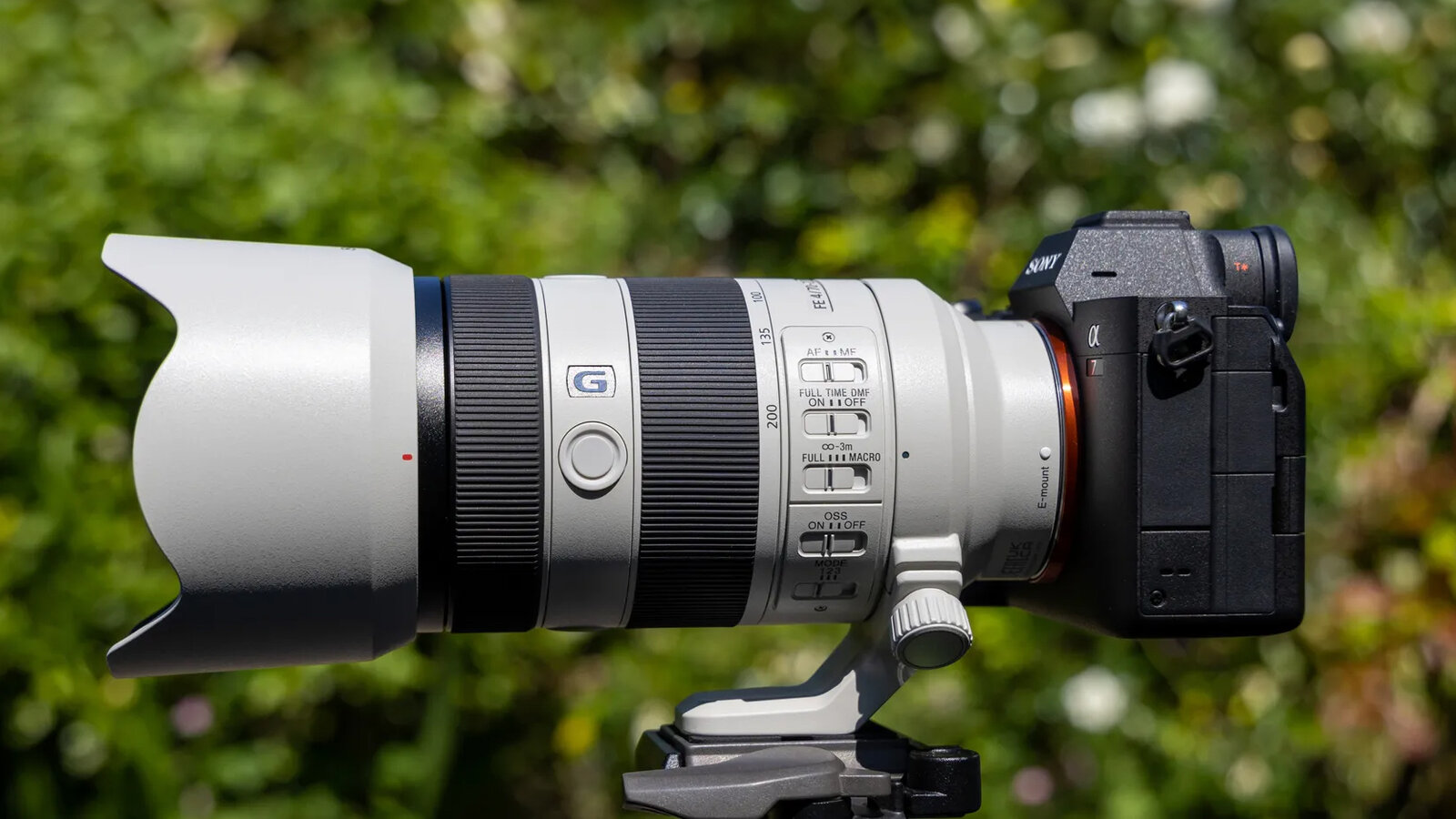 430574Sony 70-200mm f/4: почему этот объектив стал моим фаворитом