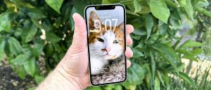 Обзор iOS 26 — Liquid Glass, кастомизация и апгрейды UI