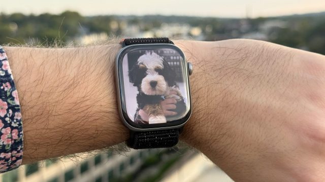 Обзор Apple Watch Series 11 — базовые Apple Watch, которые вас не подведут