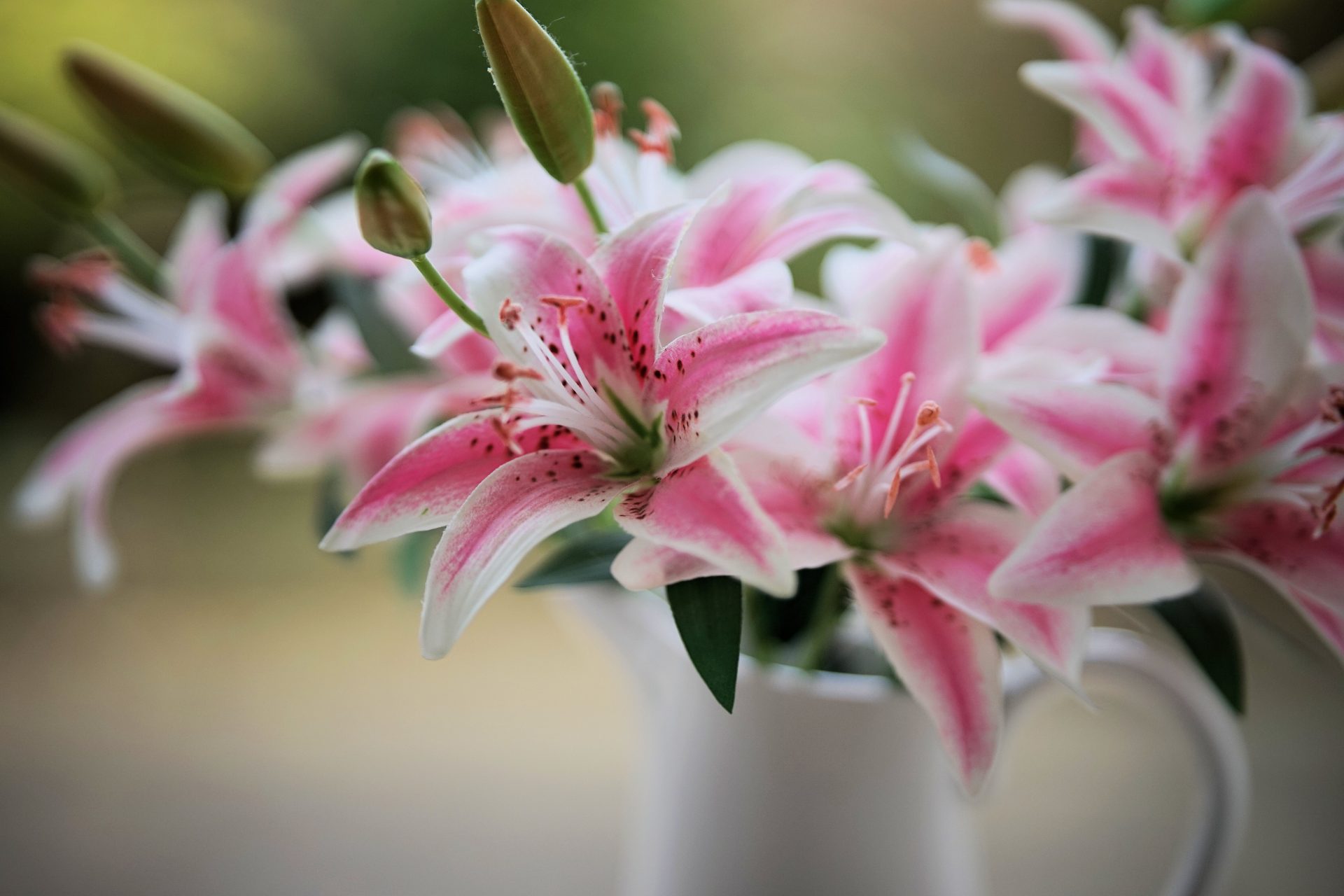 Sigma 85mm F1.4 DG DN Art