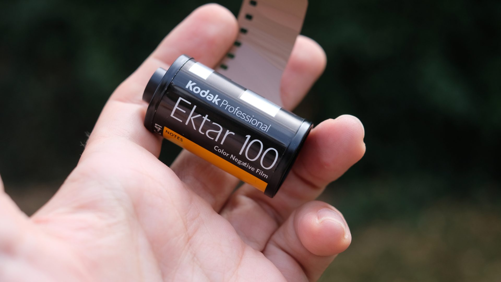 Kodak Ektar 100 film