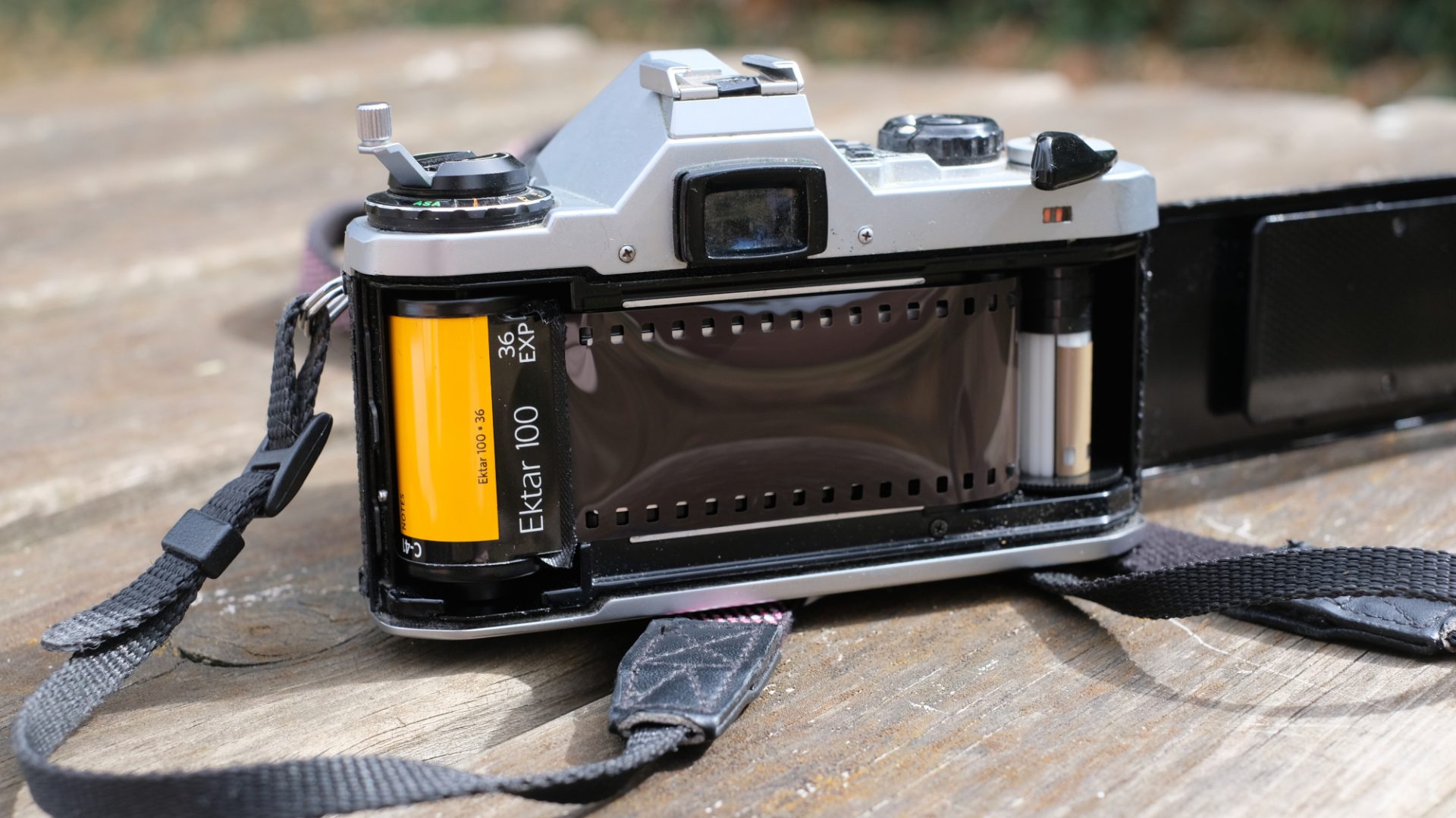 Kodak Ektar 100 film