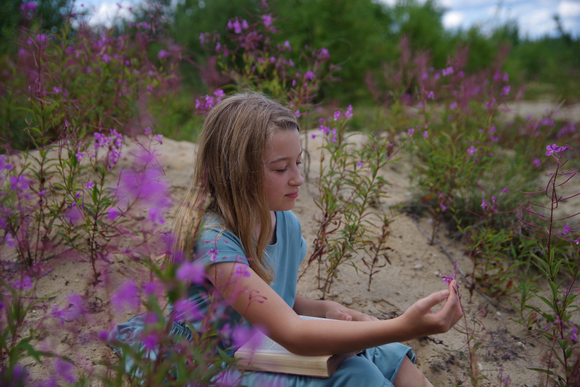  Pentax-D FA 24-70mm f/2.8: 