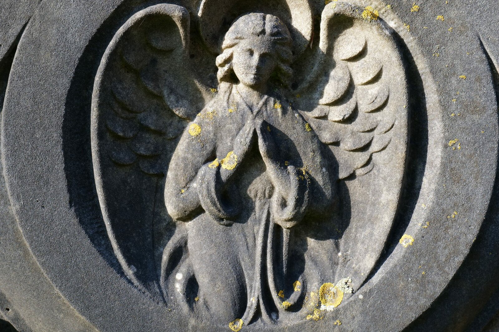 Panasonic Lumix S 20-60mm f/3.5-5.6