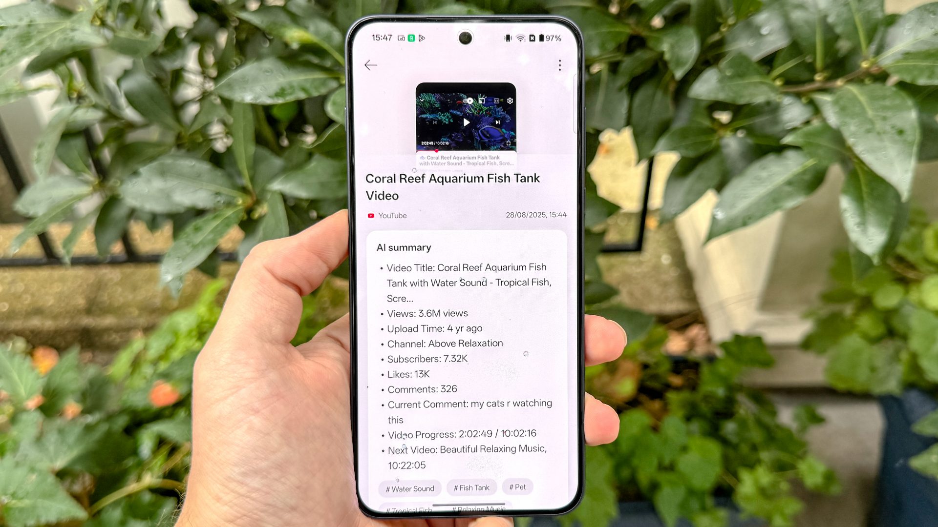 Обзор OnePlus Nord 5: плюсы и минусы бюджетного смартфона картинка OnePlus Nord 5