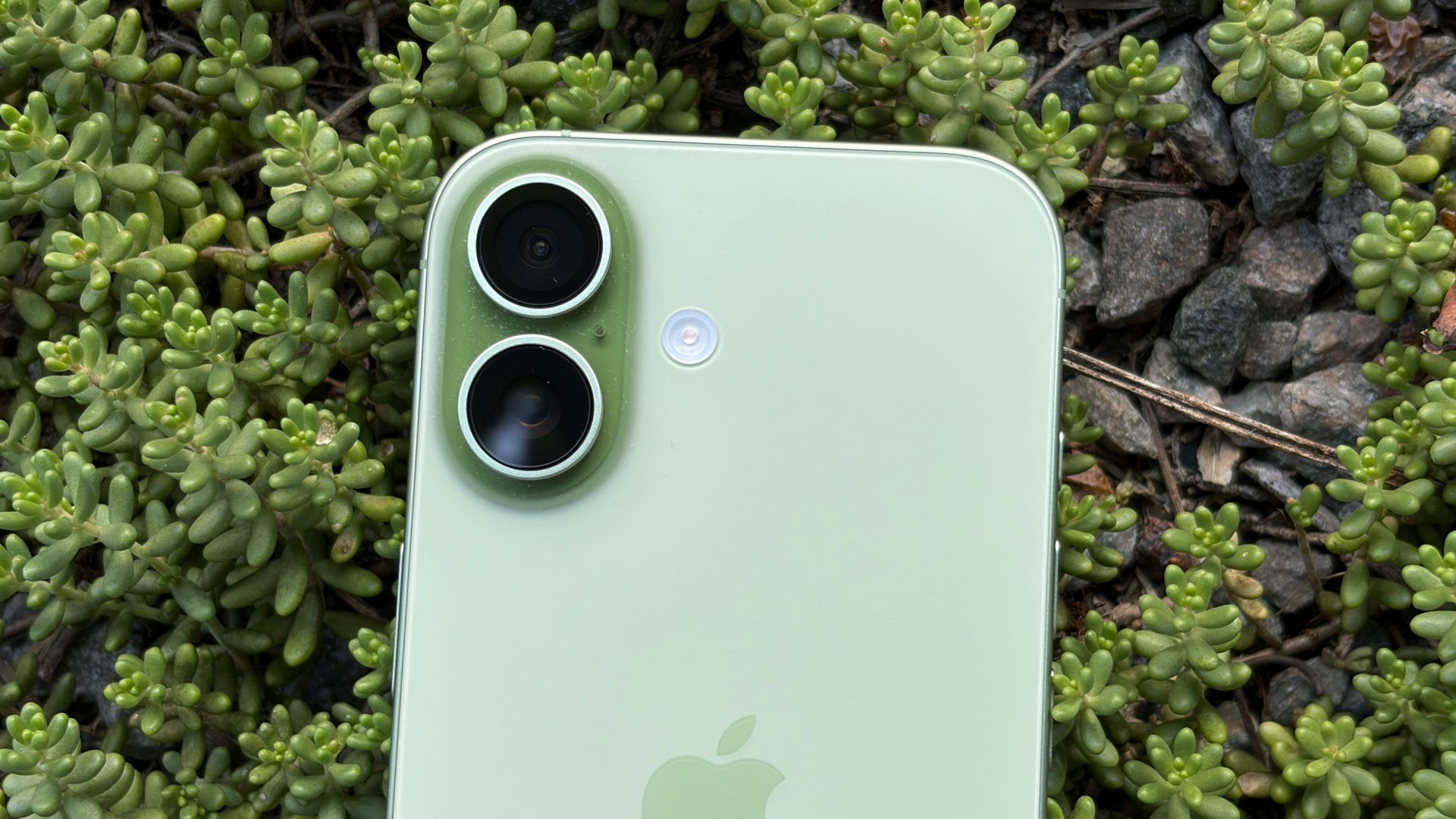 Обзор iPhone 17 — лучший по соотношению цены и качества картинка Apple iPhone 17