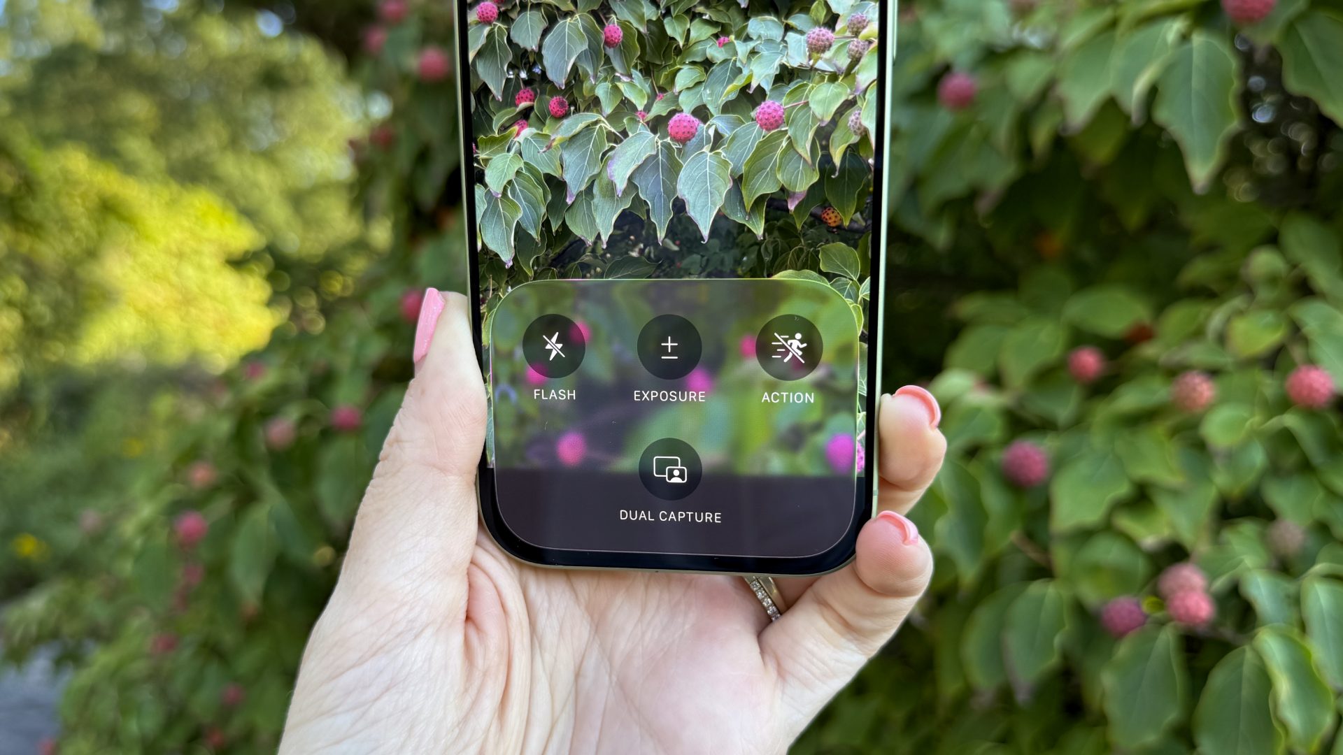 Обзор iPhone 17 — лучший по соотношению цены и качества картинка Apple iPhone 17