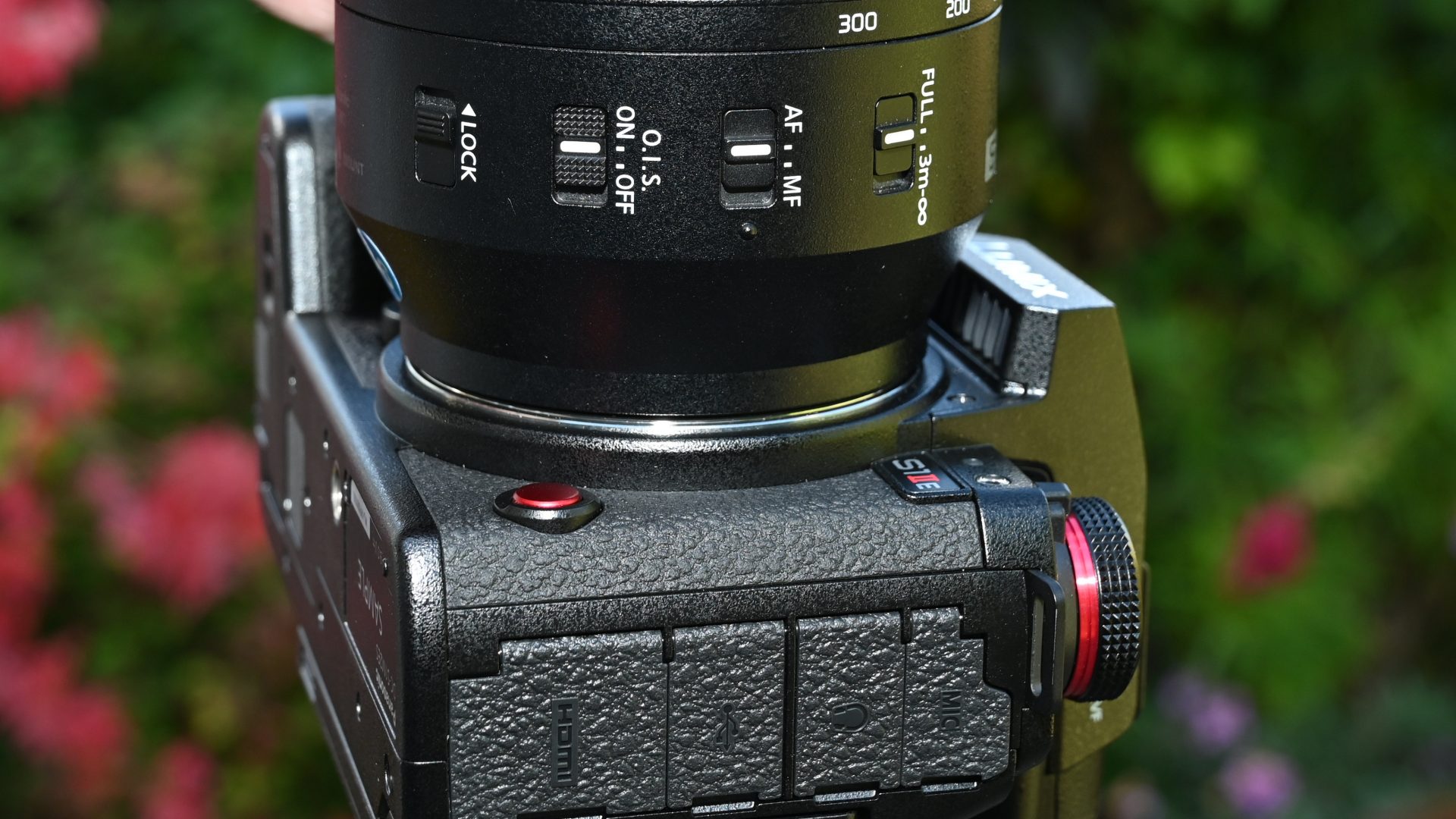 Panasonic Lumix S 70-300mm