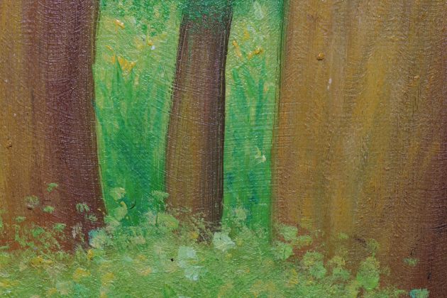 Panasonic Lumix S 100mm f/2.8 Macro