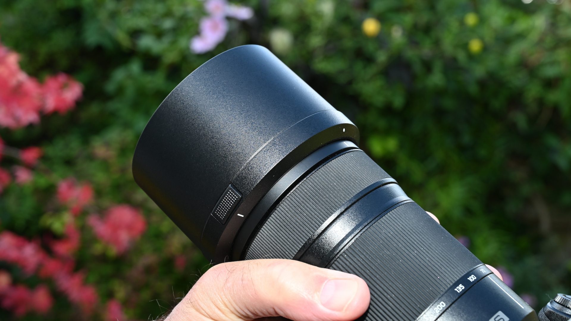 Panasonic Lumix S 70-300mm