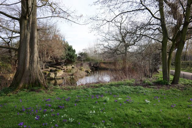 Lumix S 28-200mm f/4-7.1