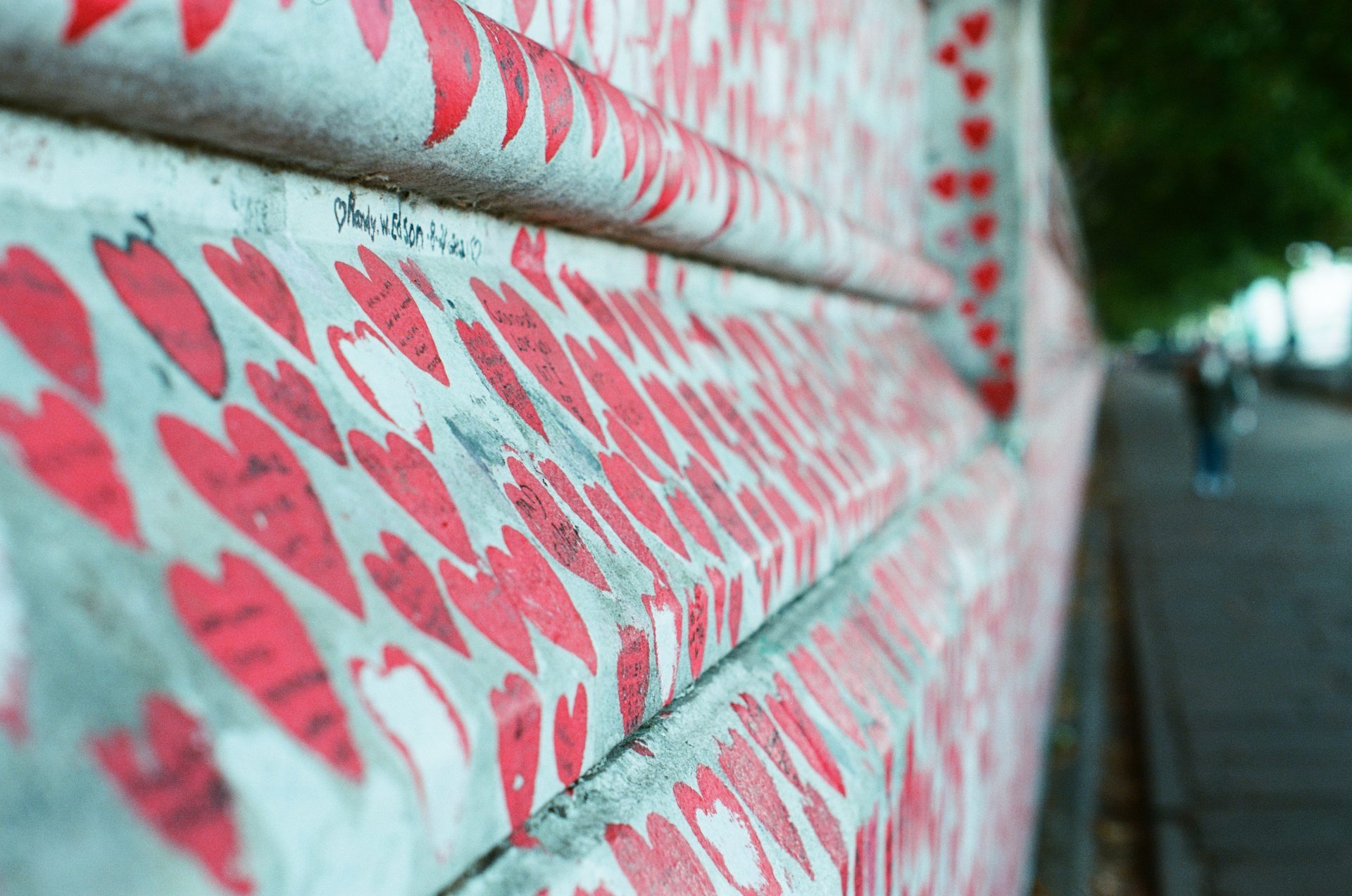 Kodak Ektar 100 film