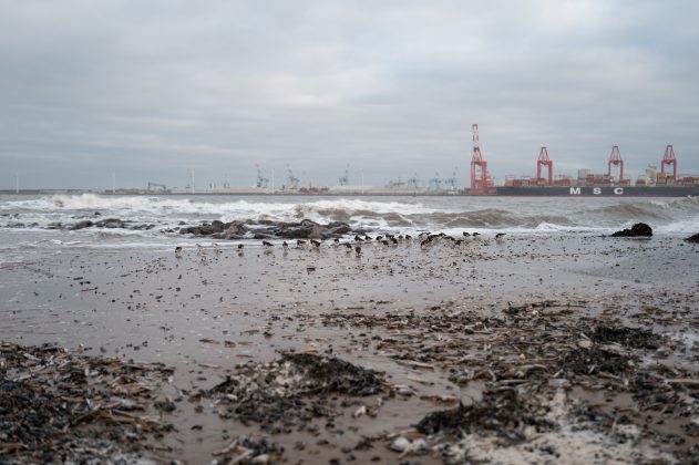 Обзор Leica Q3 43 — детализация и гибкость кадрирования фото