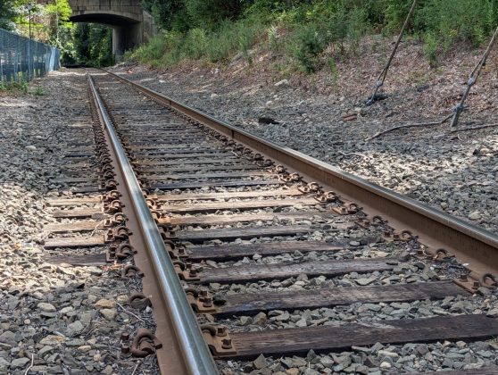 Google Pixel 10 Pro XL