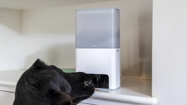 Лучшие камеры для домашних животных