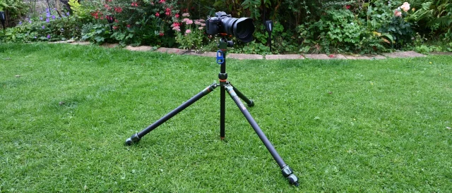 3 Legged Thing Winston 2.0 3 Legged Thing Winston 2.0