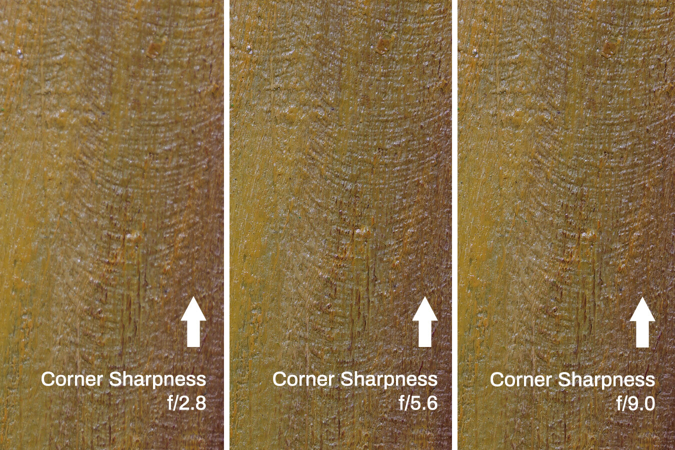 Обзор Panasonic Lumix S 100mm f/2.8 Macro — макро‑фикс L картинка Panasonic Lumix S 100mm f/2.8 Macro