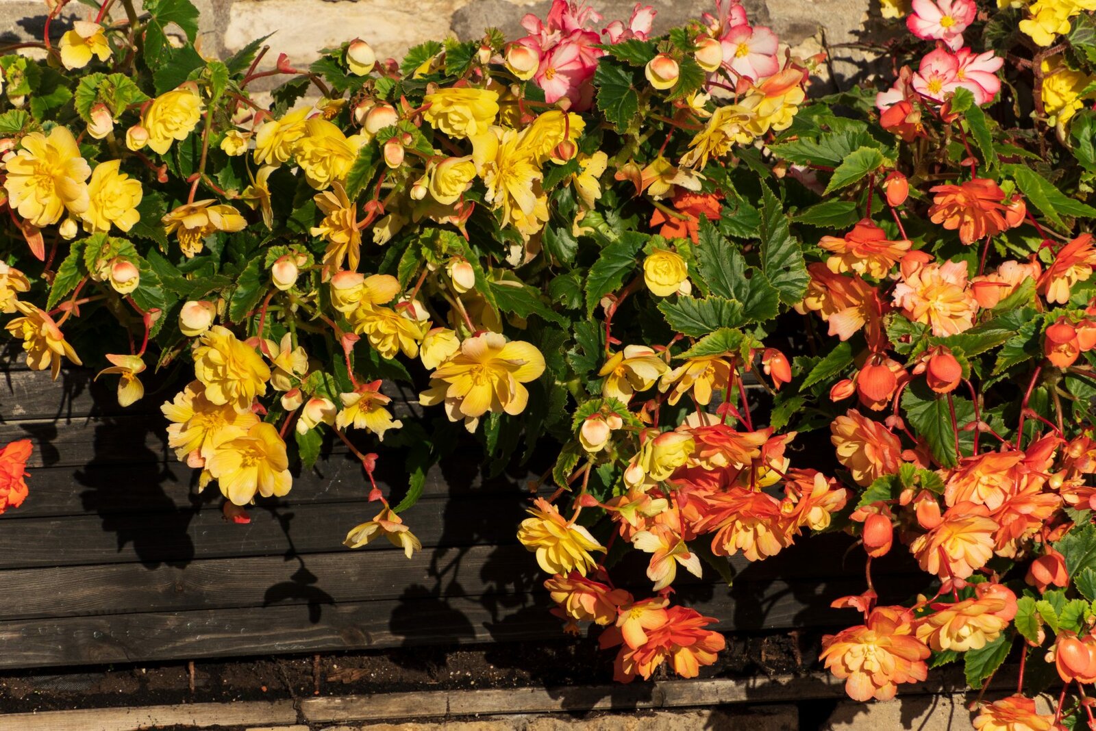 Обзор Tamron 18-300mm