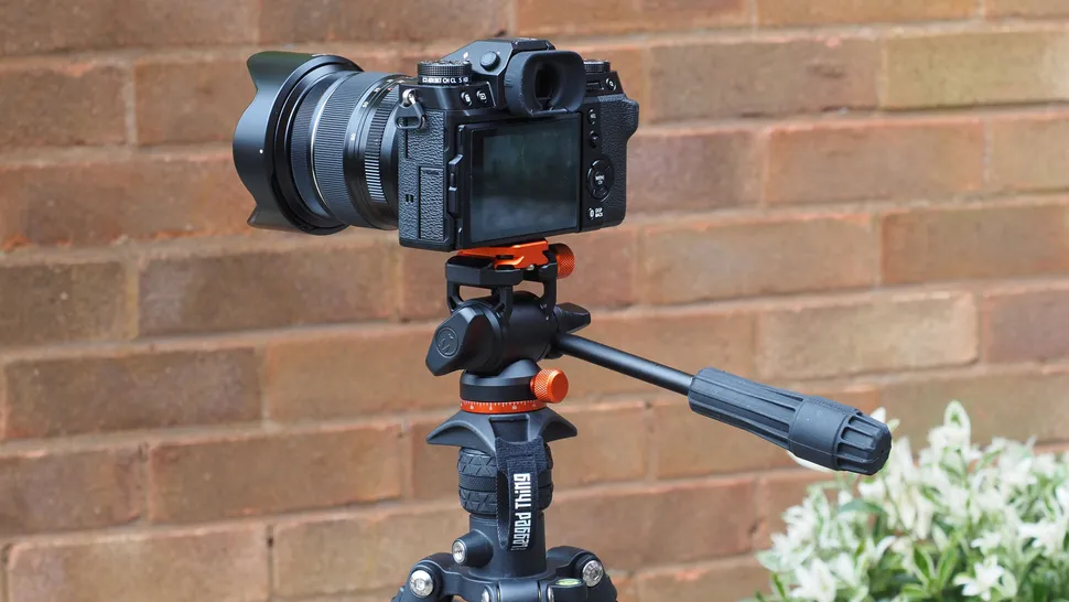 3 Legged Thing AirHed Trinity-2