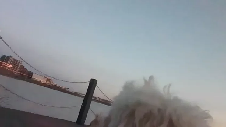 Enabot ROLA Pet Tracker-10