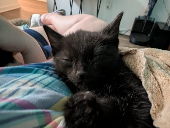 Google Pixel 10 Pro XL