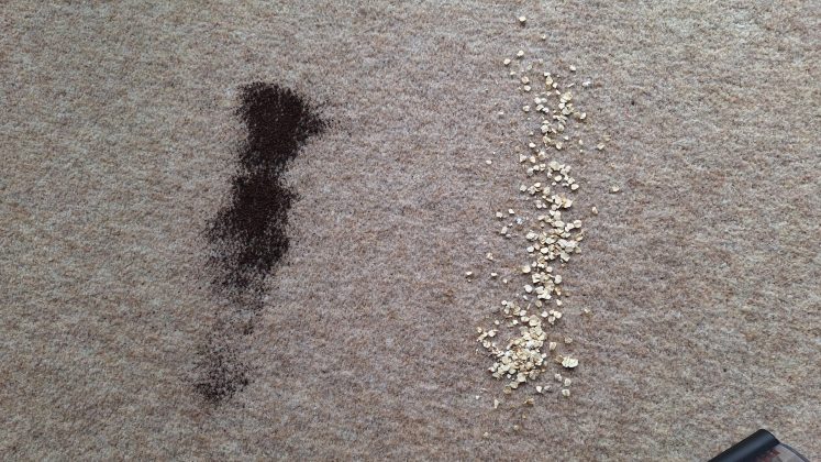 Dyson V16 Piston Animal