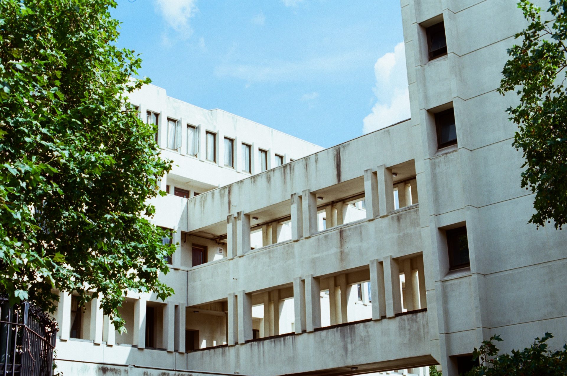 Kodak Ektar 100 film