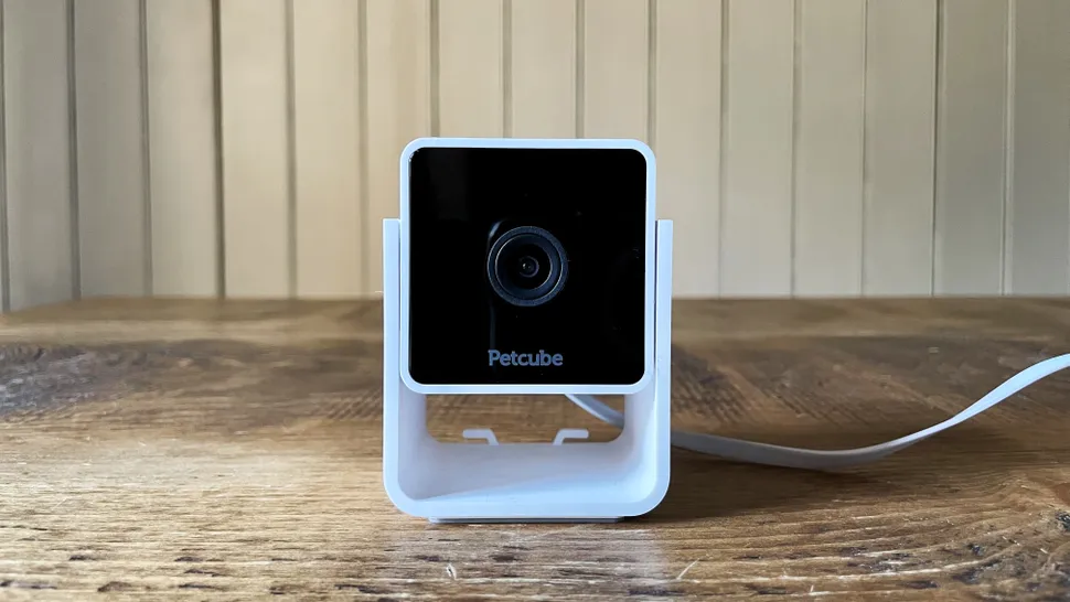 Petcube Pet Camera-2