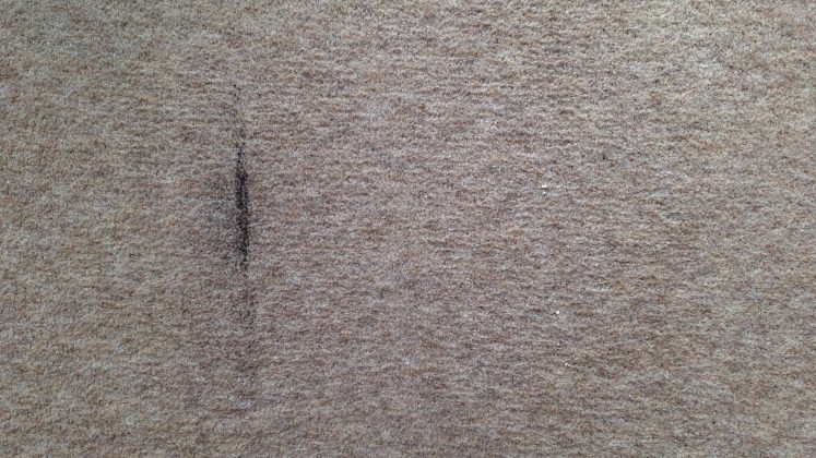 Dyson V16 Piston Animal