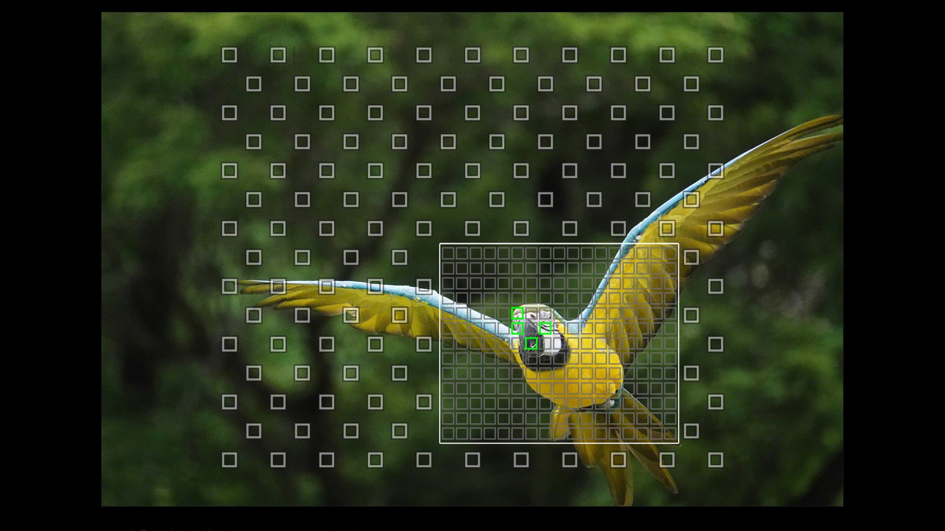 Sony Cyber-shot RX10 IV