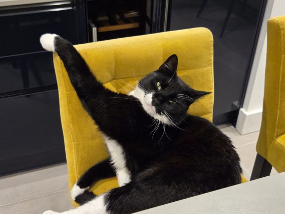 Samsung Galaxy S25 Plus