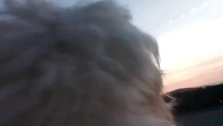 Enabot ROLA Pet Tracker-12