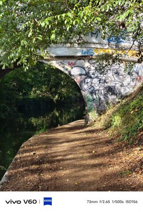 Vivo V60