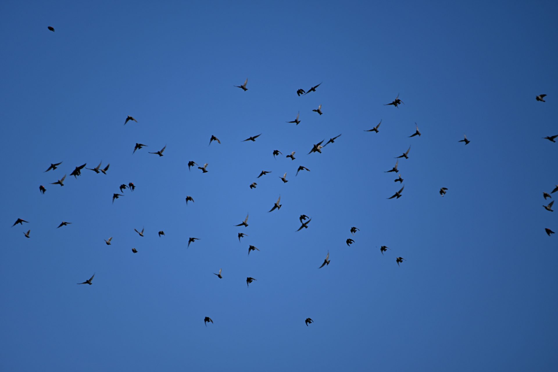 Обзор Tamron 18-300mm