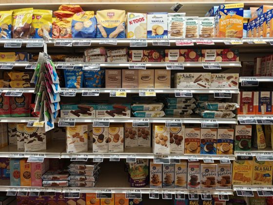 Motorola Razr Plus (2025)