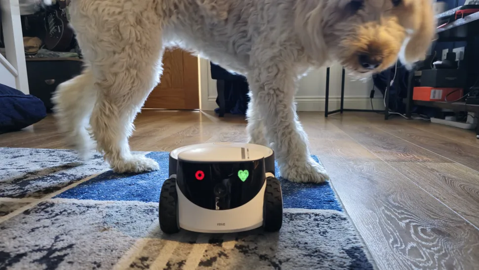 Enabot ROLA PetPal-2