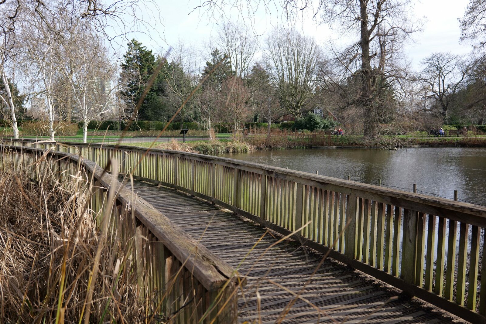 Обзор Panasonic Lumix S 28-200mm f/4-7.1 — зум‑универсал из серии S картинка Lumix S 28-200mm f/4-7.1