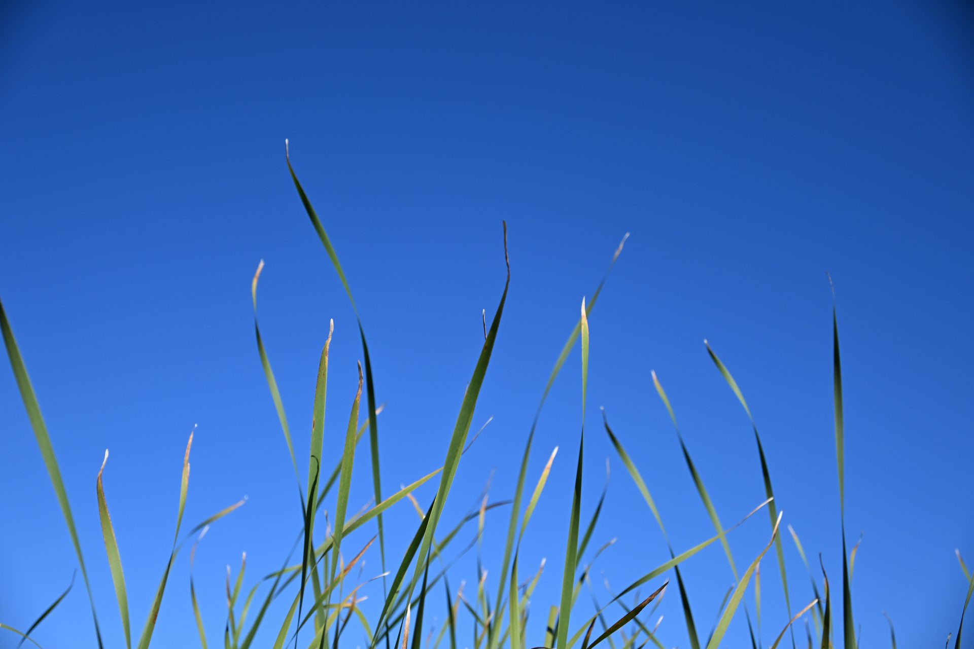 Обзор Tamron 18-300mm