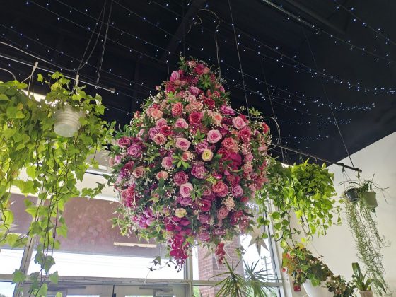 Motorola Razr Plus (2025)