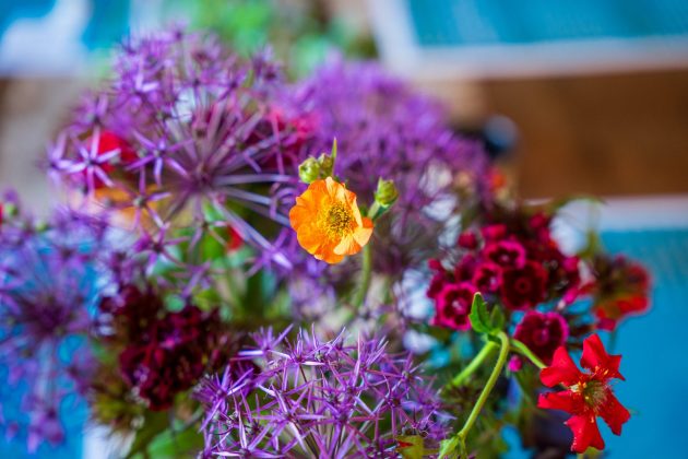 Sigma 24-70mm F2.8 DG DN II Art