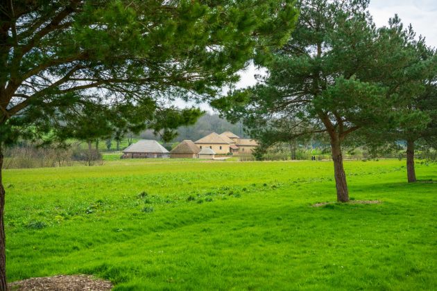 Sigma 50mm F1.2 DG DN Art