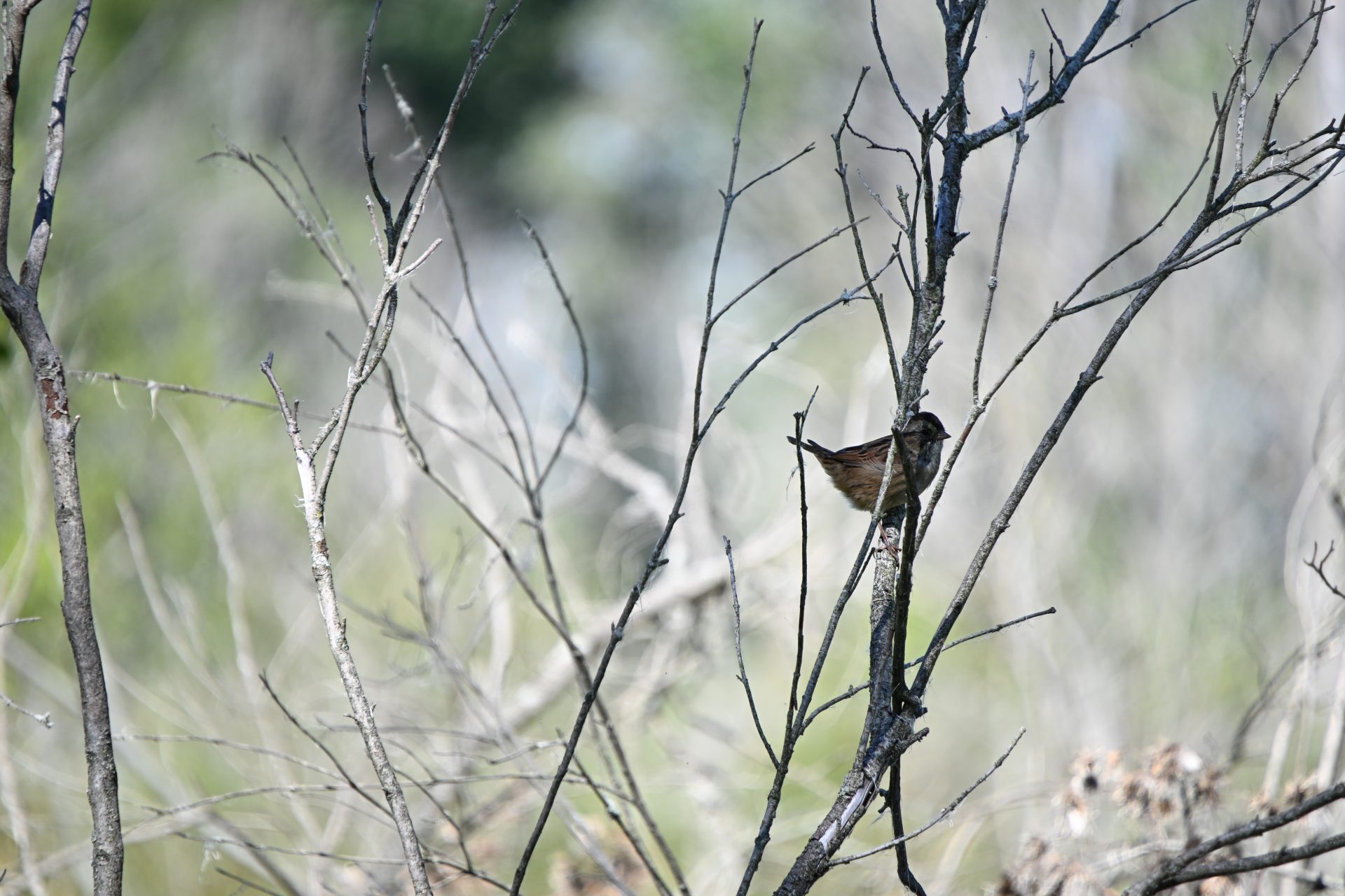 Обзор Tamron 18-300mm