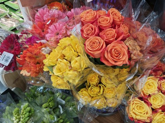 Motorola Razr Plus (2025)