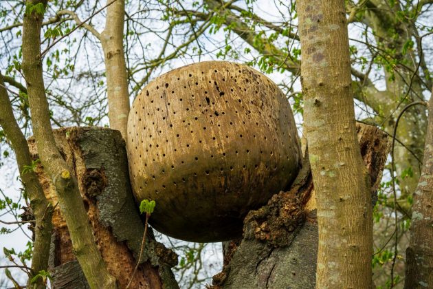 Sigma 50mm F1.2 DG DN Art