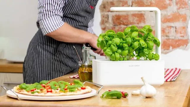 Умный сад Click and Grow 3