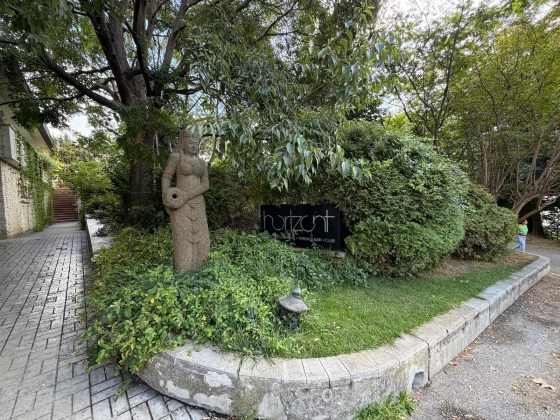 iPhone 17 Pro Max против Galaxy S25 Ultra