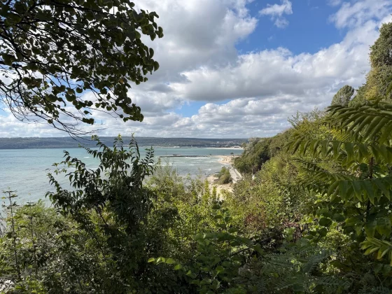 iPhone 17 Pro Max против Galaxy S25 Ultra